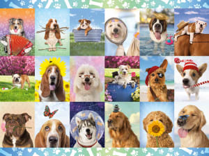 It's a Ruff Life Collage By Buffalo Games