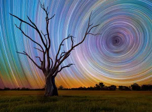 Photographic Collection: Centrifuge Photography By Buffalo Games