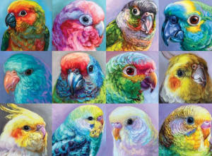 Bonjour: Parrot Perfection Collage By Buffalo Games