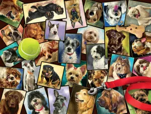 Dog Days: The Best of Friends Collage By Buffalo Games
