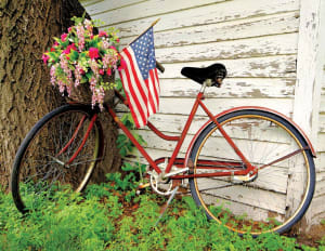 Symbols of Summer Bicycle By Springbok