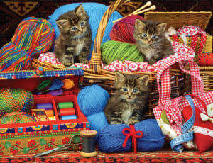 Sew Cute Cats By Springbok