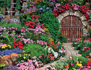 Wine Cellar Flower & Garden By Springbok