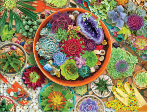 Succulent Garden Flower & Garden By Springbok