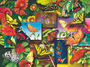 Butterfly Garden Collage By Springbok