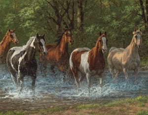 Puzzles to Remember: Summer Creek Lakes & Rivers By Springbok