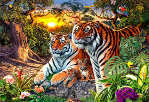 Hidden Tigers  Big Cats By Springbok
