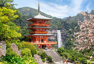 Seiganto-ji Temple, Japan Asia By Castorland