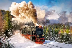 Steam Train Train By Castorland