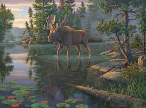 King of the North Lakes & Rivers By Buffalo Games