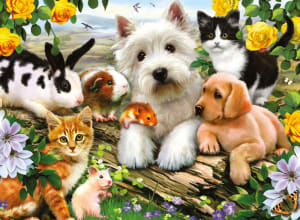 Happy Animal Buddies Collage By Ravensburger