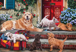Dog Family Dogs By Anatolian