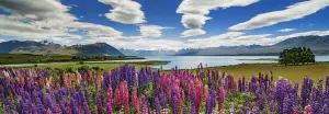 Lake Tekapo Lakes & Rivers By Heye