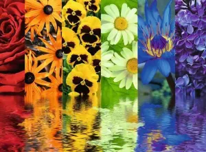 Floral Reflections Flower & Garden By Ravensburger