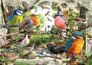 Our Feathered Friends Birds By Ravensburger