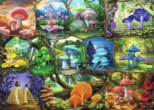 Beautiful Mushrooms Collage By Ravensburger