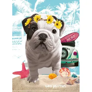 Teo California, Teo Jasmin Dogs By Nathan