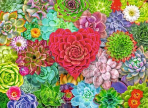 Succulent Love Flower & Garden By Ravensburger