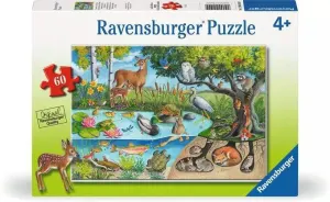 Animals Above and Below  Animals By Ravensburger