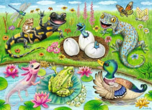 Hello Hatchlings  Animals By Ravensburger