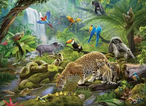 Rainforest Animals Jungle Animals By Ravensburger
