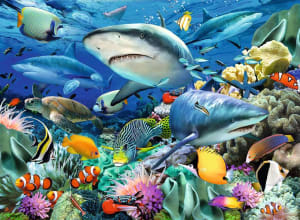 Shark Reef - Scratch and Dent Beach & Ocean By Ravensburger