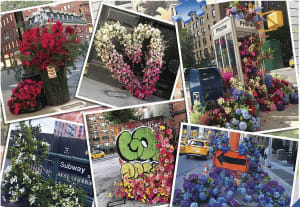 NYC Flower Flash New York By Ravensburger