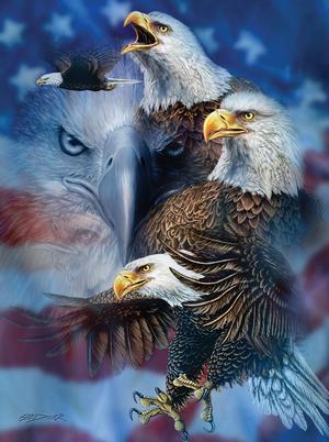 Patriotic Eagles Military Jigsaw Puzzle By SunsOut
