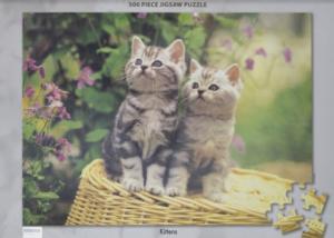 Kittens By Tomax Puzzles