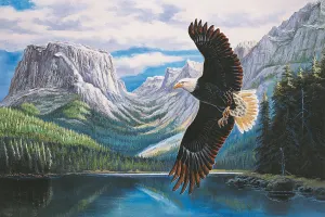 Searching Eagle By Tomax Puzzles