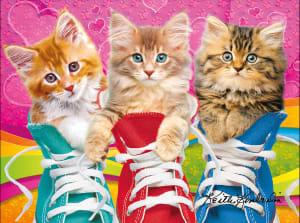 Sneaky Cats 2 Cats By Kodak