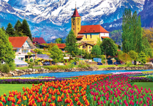Brienz Town Flowers, Switzerland Europe By Kodak