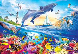 Playful Summer Dolphins Dolphin By Kodak