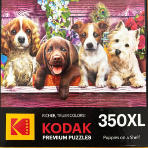 Puppies On A Shelf Dogs By Kodak