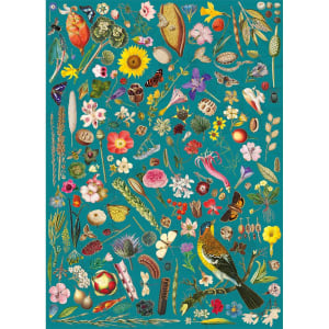 RHS Floral Fantasy  Collage By Gibsons
