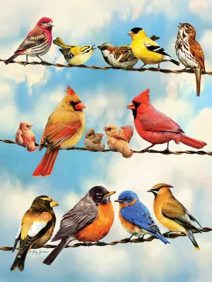 Birds on a Wire Birds By Cobble Hill