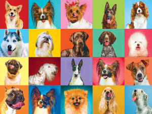 Puzzle Collector - 20 Happy Dogs Collage By RoseArt