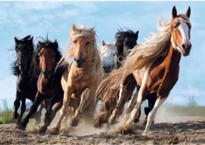 Galloping Horses Horse By Trefl