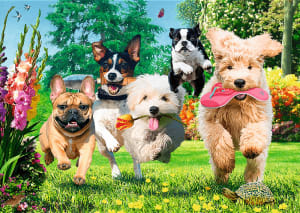 Premium Plus Here Comes Trouble! Dogs By Trefl