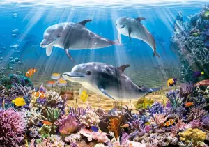 Dolphins Underwater Dolphin By Castorland