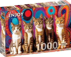 Five Cats Cats By Enjoy