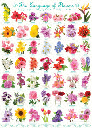 The Language of Flowers Pattern & Geometric By Eurographics