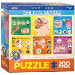 The Five Senses Science By Eurographics