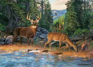 The River's Edge Forest Animal By Cobble Hill