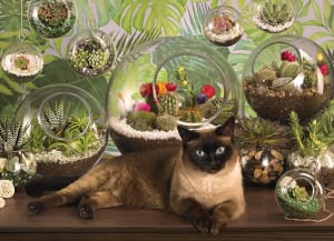 Terrarium Cat Flower & Garden By Cobble Hill