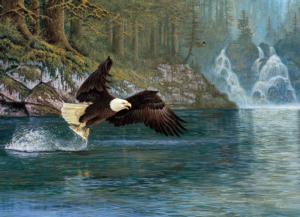 Fly Fishing (eagle)