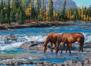 On the Rocks (horses) Lakes & Rivers By Cobble Hill