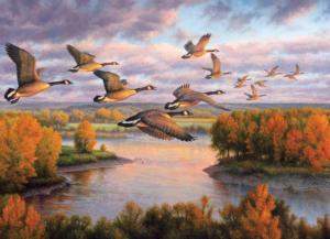 Migration Birds Jigsaw Puzzle By Cobble Hill