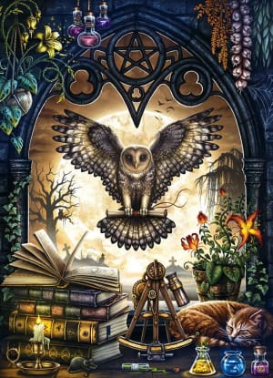 The Summons Fantasy By Cobble Hill