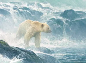 Salmon Watch - Spirit Bear Bear By Cobble Hill